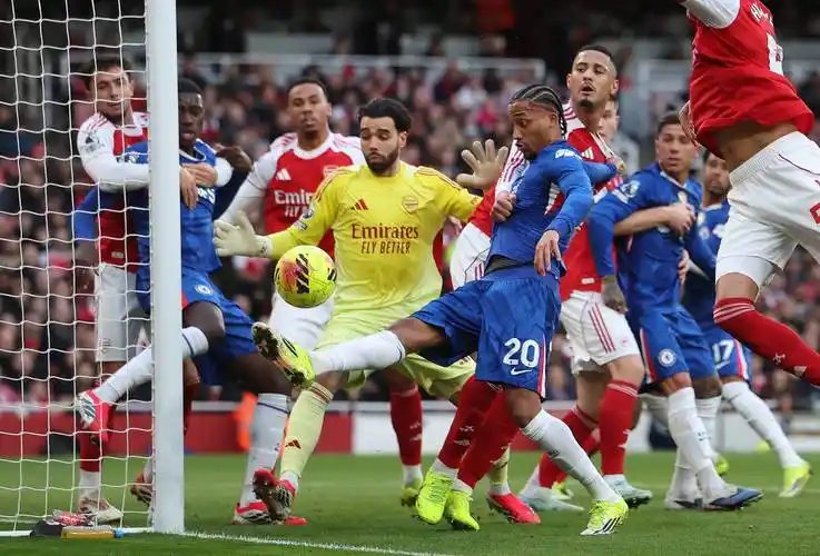 雨燕直播体育免费直播